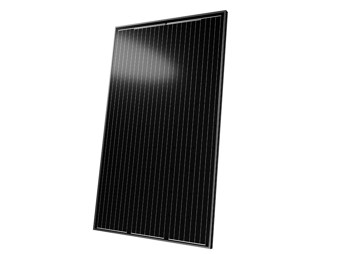 Solarwatt Vision 60M Style